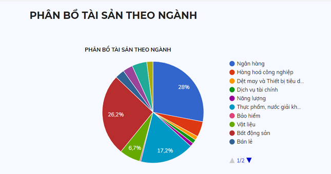 VN100 ETF – Quỹ đại chúng Quỹ VinaCapital VN100 ETF